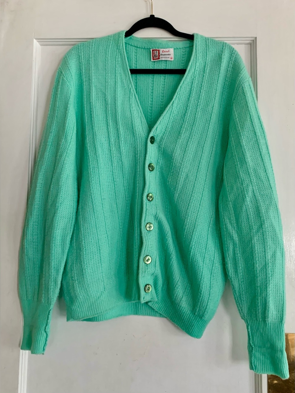 Vintage Escort Binghamton Knitting Company Mens Cardigan Med Mint Green